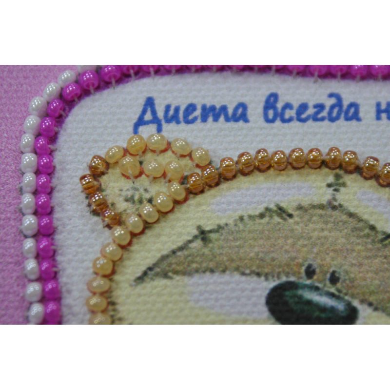 Bead Embroidery Magnet Kit "Diet – 2"