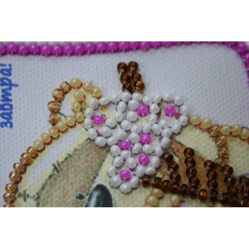 Bead Embroidery Magnet Kit "Diet – 2"