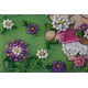 Bead Embroidery Magnet Kit "Cutey – 2"