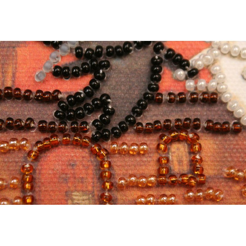 Bead Embroidery Magnet Kit "Fly with cats"