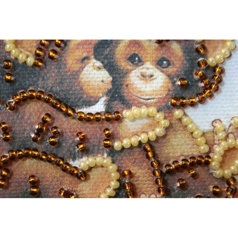Bead Embroidery Magnet Kit "Inseparables"