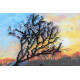 Midi Bead Embroidery Kit on Art Canvas "Dawn of the evening"
