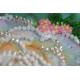 Bead Embroidery Postcard Kit "Happy 8th of March (Women's Day) – 1"