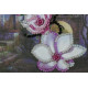 Bead Embroidery Postcard Kit "South night – 3"