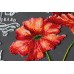 Main Bead Embroidery Kit Velvet poppies (Flowers), AB-804 by Abris Art - buy online! ✿ Fast delivery ✿ Factory price ✿ Wholesale and retail ✿ Purchase Great kits for embroidery with beads