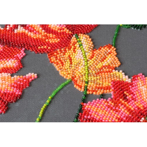 Main Bead Embroidery Kit Velvet poppies (Flowers), AB-804 by Abris Art - buy online! ✿ Fast delivery ✿ Factory price ✿ Wholesale and retail ✿ Purchase Great kits for embroidery with beads